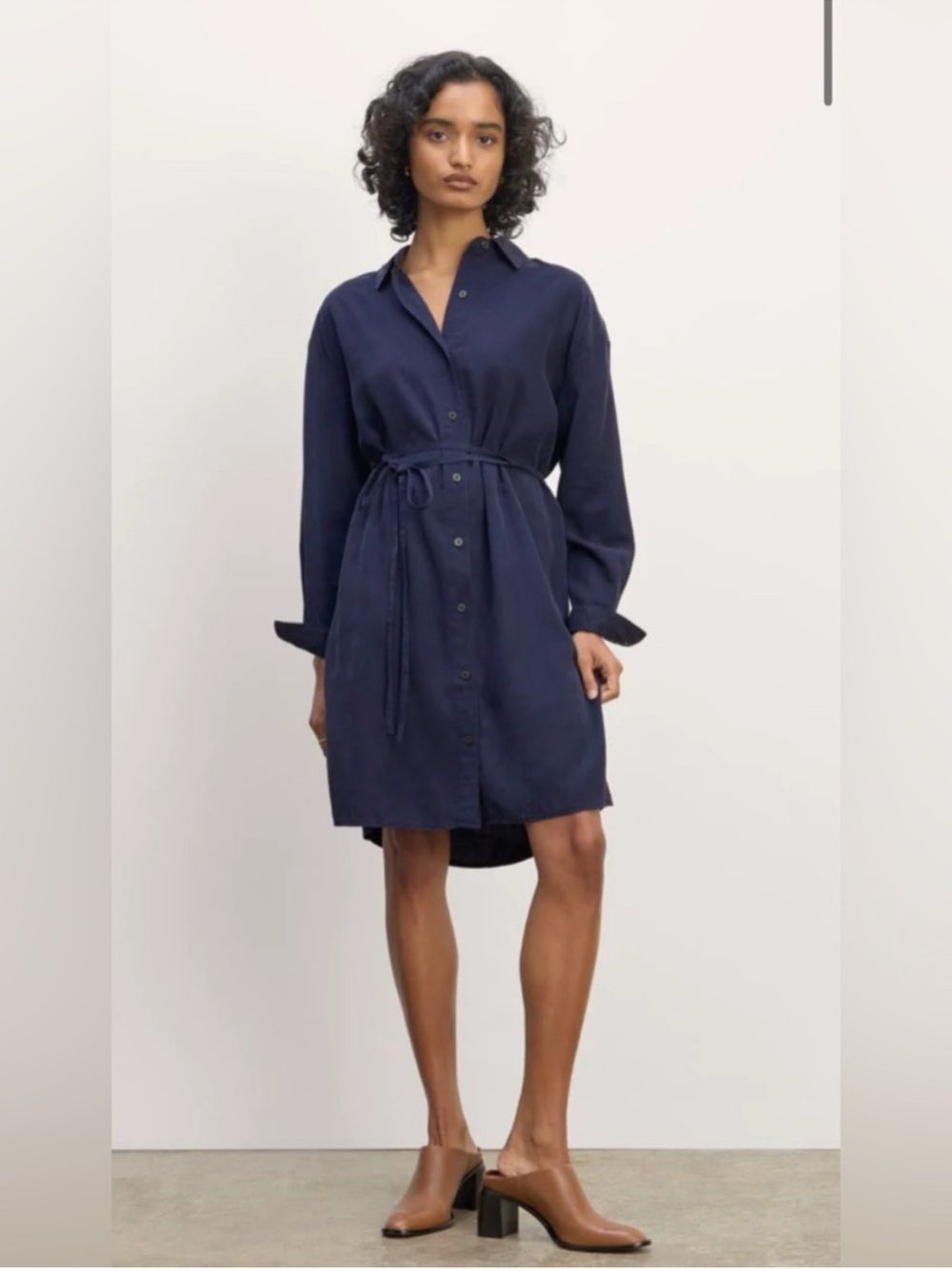 New Everlane The Must-Have Shirtdress In Butterlite Navy Size L